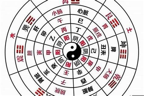 八字 陰陽|八字的陰陽怎么看 如何理解自己的八字陰陽